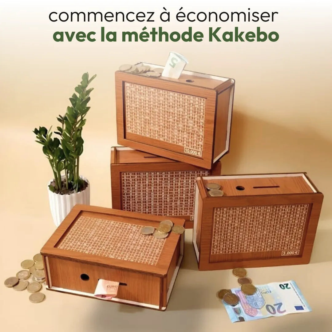 Tirelire Pour Économiser