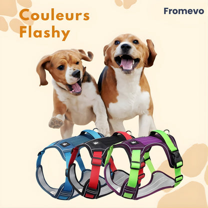Harnais chien anti traction