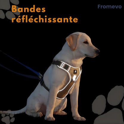 Harnais chien anti traction