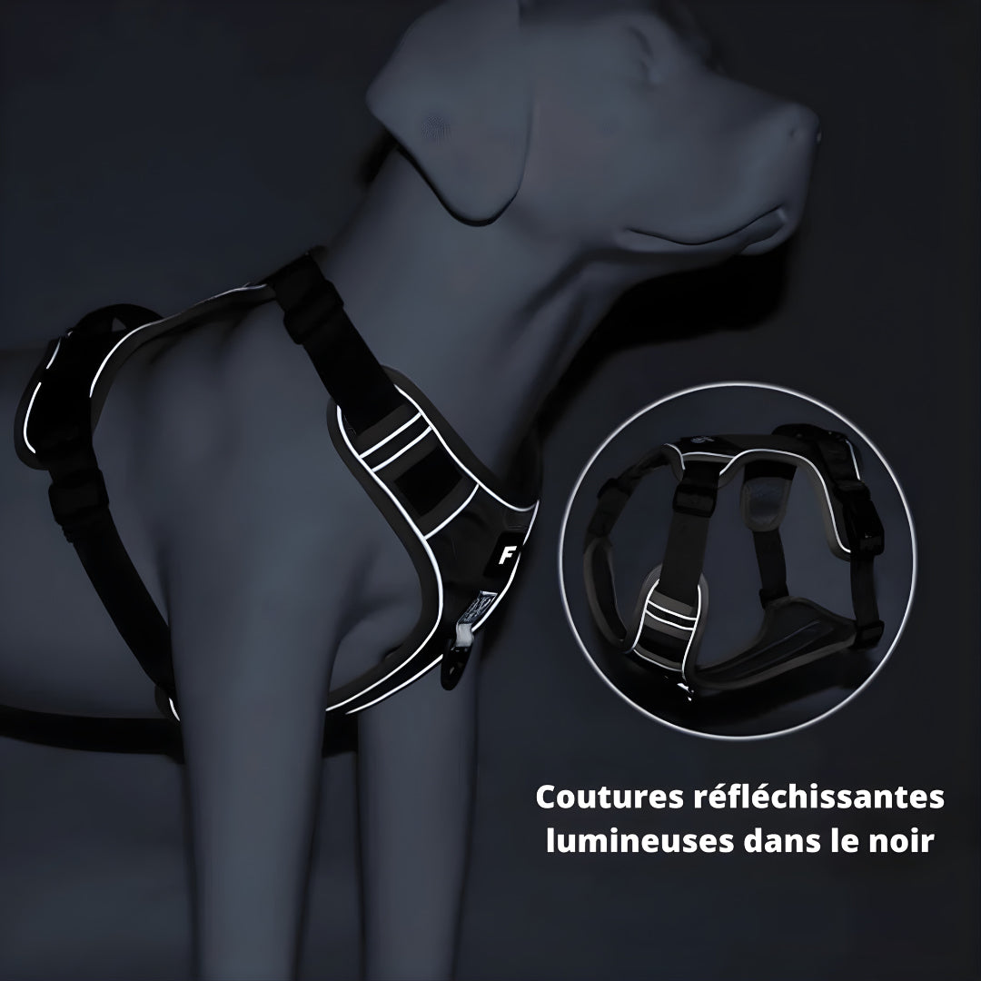 Harnais chien anti traction