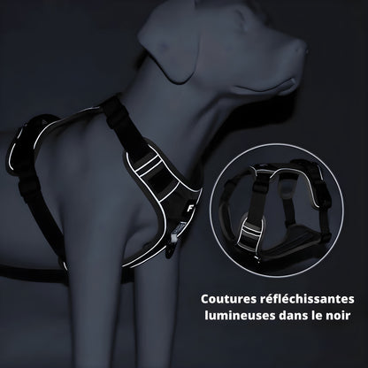 Harnais chien anti traction