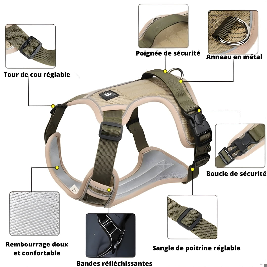 Harnais chien anti traction