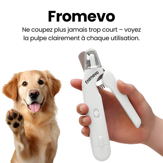 CoupeSafe – Des griffes sans risque ni stress