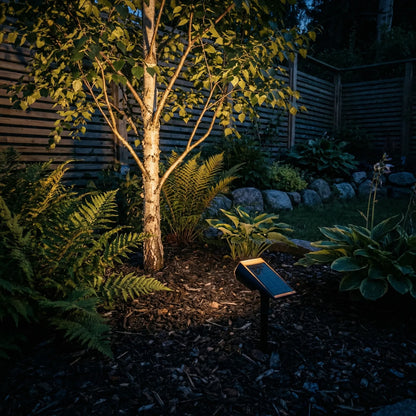 TerraPro - Lampe Solaire de Jardin