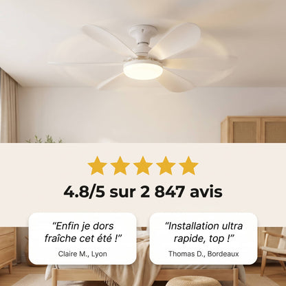 Ventilateur de Plafond Fromevo
